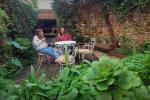 Vacaciones en casa fresquita con bonito jardin
