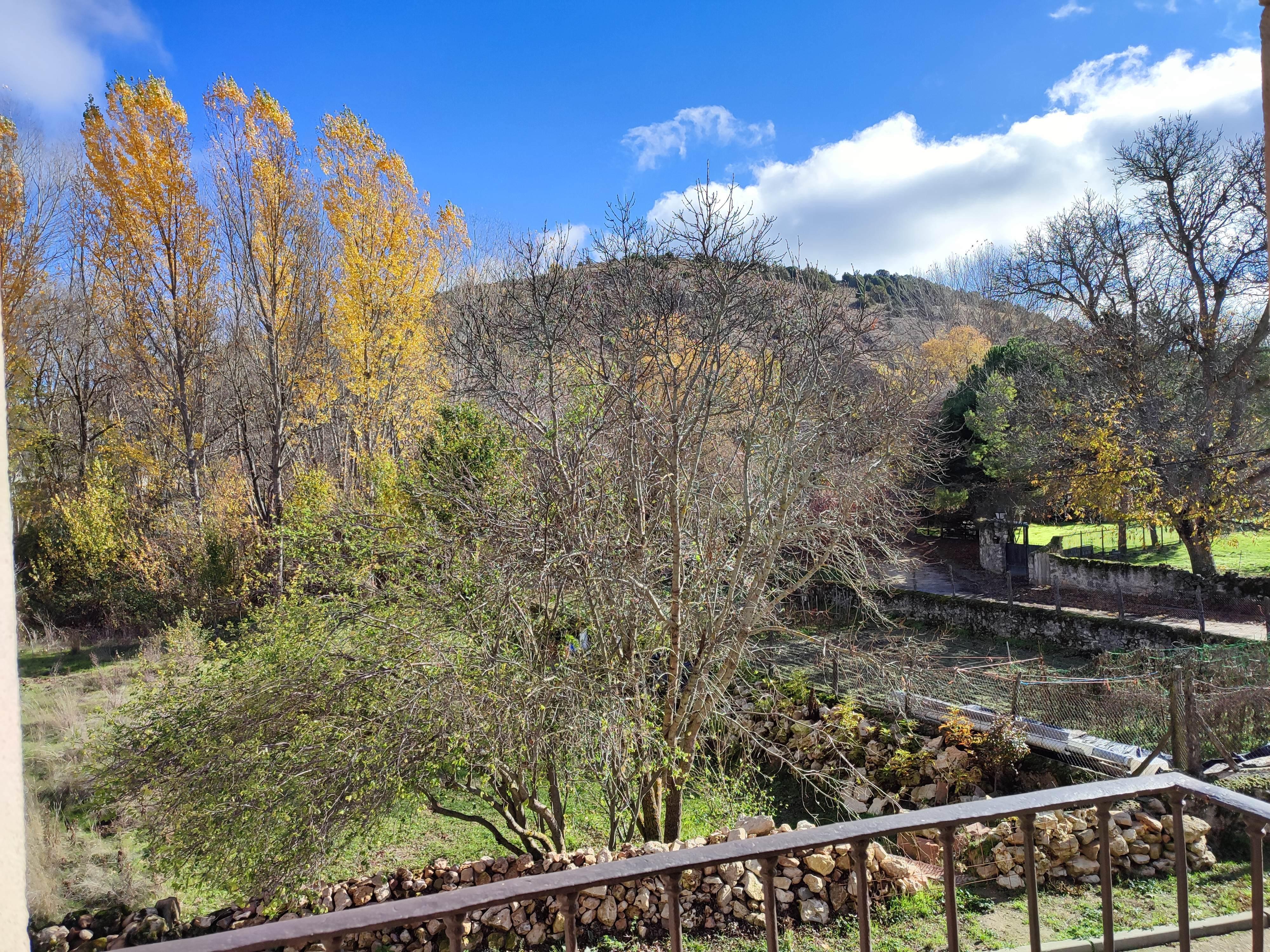 ¡Primavera en el campo!